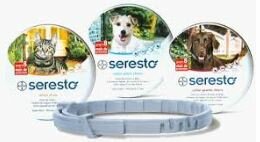 seresto-collier